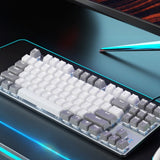 Gray and White Mechanical Gaming Keyboard