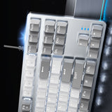 Gray and White Mechanical Gaming Keyboard