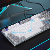 Gray and White Mechanical Gaming Keyboard