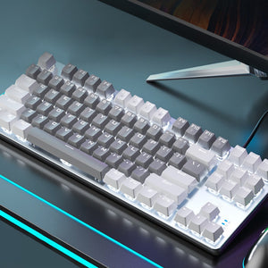 Gray and White Mechanical Gaming Keyboard